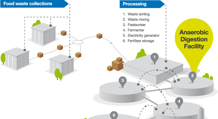 Anaerobic Digestion