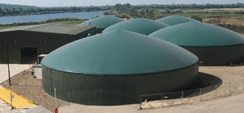 Anaerobic Digestion